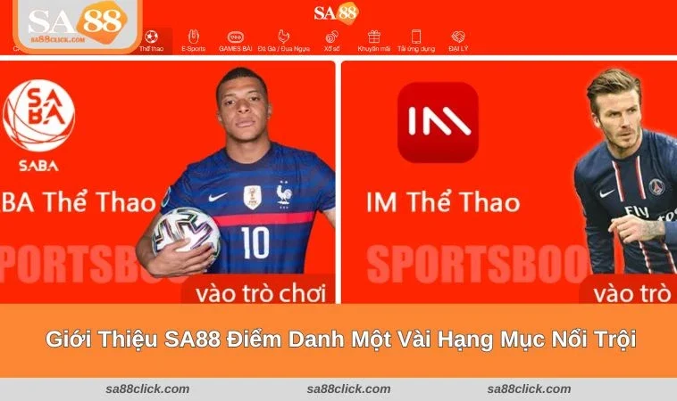 gioi thieu sa88 3 Giới thiệu SA88 cùng những hạng mục đẳng cấp của đơn vị